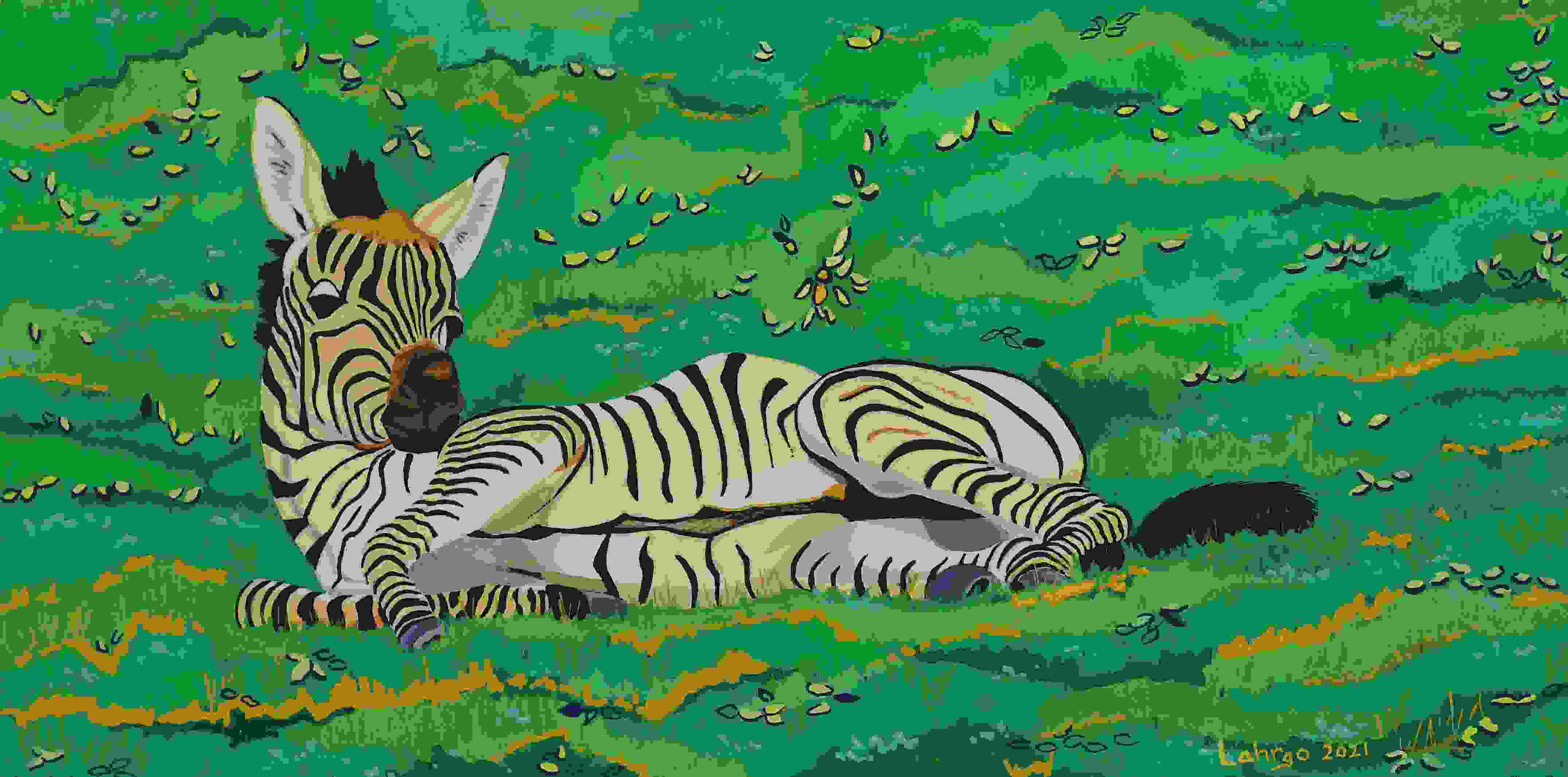 Baby Zebra